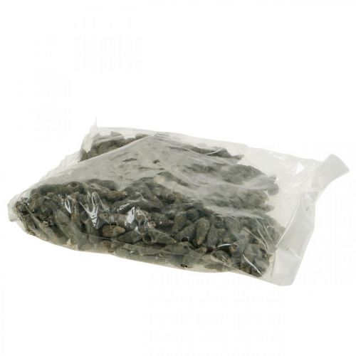 Artículo Artículos naturales, conchas de caracol naturales 6–10 mm, decoraciones marinas 1 kg