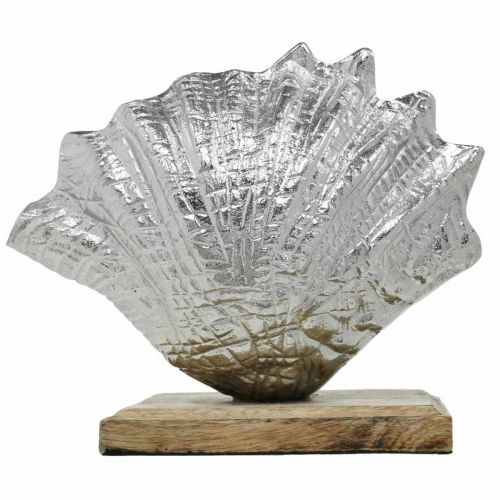 Artículo Concha para montar, decoración de metal marítimo con base de madera plateada, natural 16 × 19cm