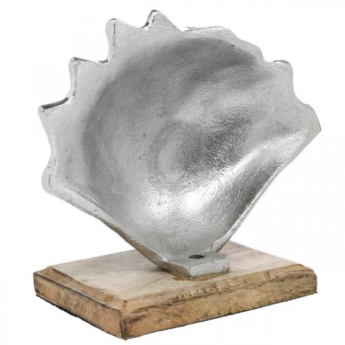 Artículo Concha para montar, decoración de metal marítimo con base de madera plateada, natural 16 × 19cm