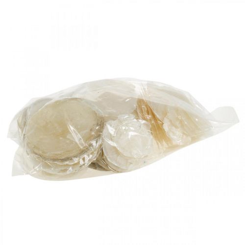 Artículo Decoración de playa, conchas capiz 5-10cm, artículos naturales, nácar, marítimo 1kg
