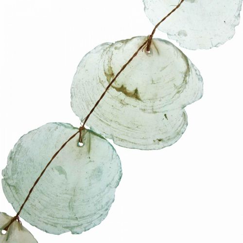 Floristik24 Guirnalda Shell Deco Capiz Guirnalda Shell Verde 100cm