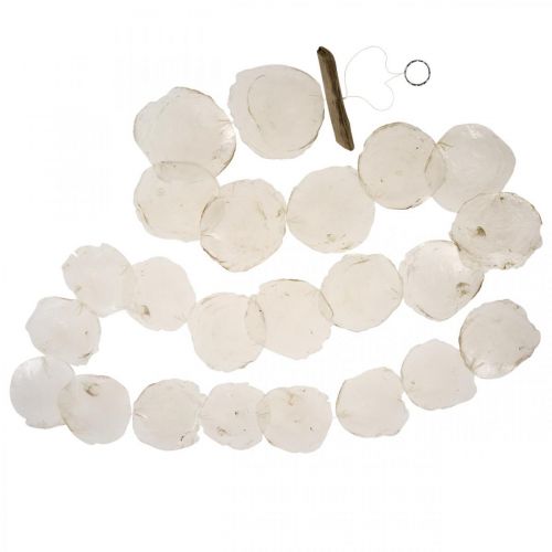 Floristik24 Guirnalda de conchas Nácar Guirnalda de conchas Capiz 195cm