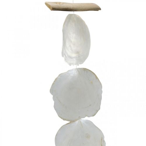 Floristik24 Guirnalda de conchas Nácar Guirnalda de conchas Capiz 195cm