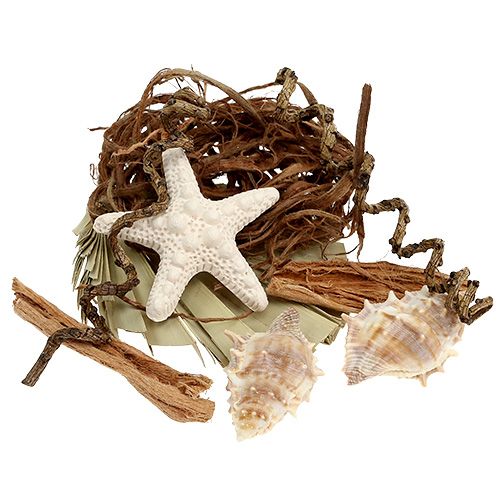Floristik24 Mezcla de conchas y estrellas de mar para manualidades 150g
