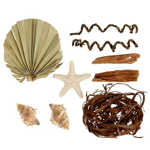 Floristik24 Mezcla de conchas y estrellas de mar para manualidades 150g