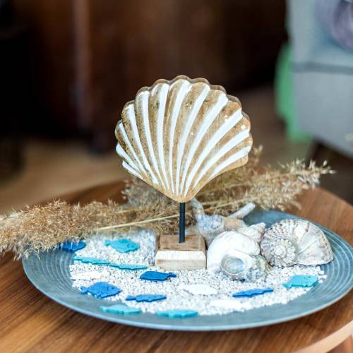 Floristik24 Concha con base madera blanca, naturaleza 20 × 14cm Decoración marítima para el salón