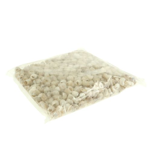 Artículo Mejillón Umachi 500g