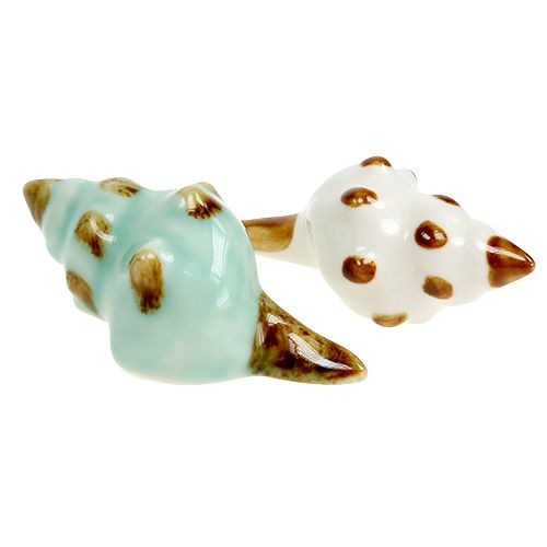 Floristik24 Tipo de concha de porcelana. 9,5 cm 2 uds