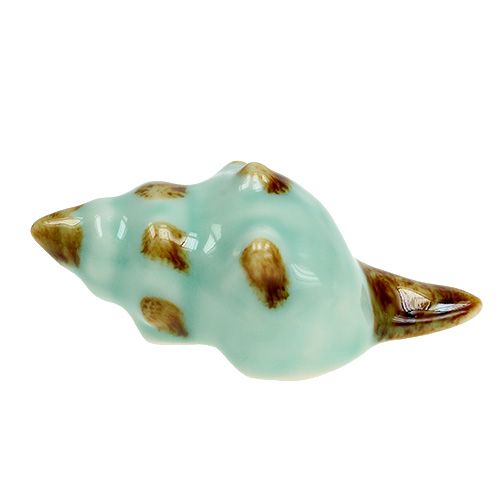 Floristik24 Tipo de concha de porcelana. 9,5 cm 2 uds