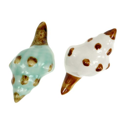 Floristik24 Tipo de concha de porcelana. 9,5 cm 2 uds