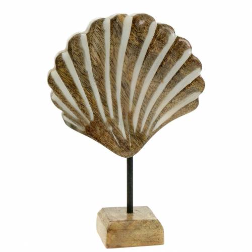 Floristik24 Concha con base madera blanca, naturaleza 20 × 14cm Decoración marítima para el salón
