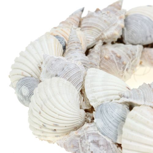Floristik24 Corona de concha blanca Ø14cm