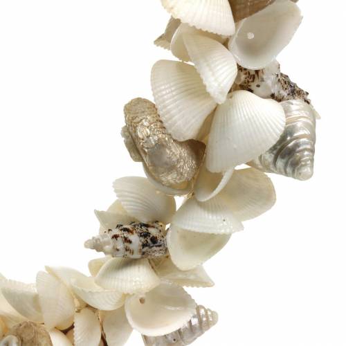 Floristik24 Corona de conchas blanco natural Ø40cm