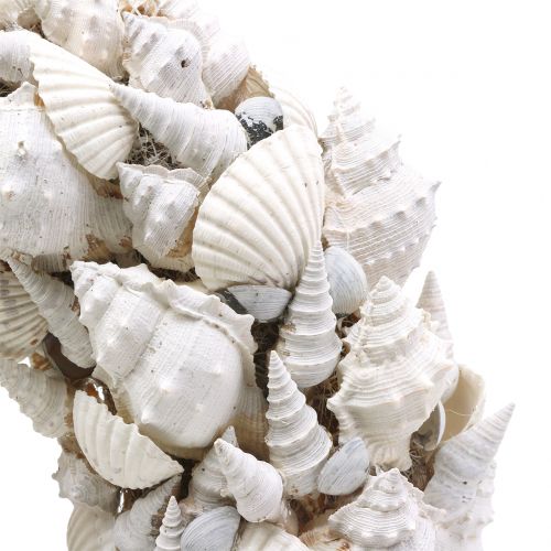 Floristik24 Corona de concha blanca Ø30cm