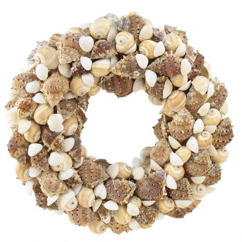 Artículo Corona de conchas corona de caracol para colgar coco natural Ø25cm