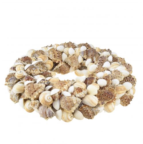 Floristik24 Corona de conchas corona de caracol para colgar coco natural Ø25cm