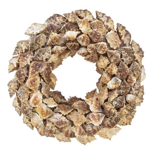 Corona de conchas para colgar decoración de conchas coco marrón Ø24cm