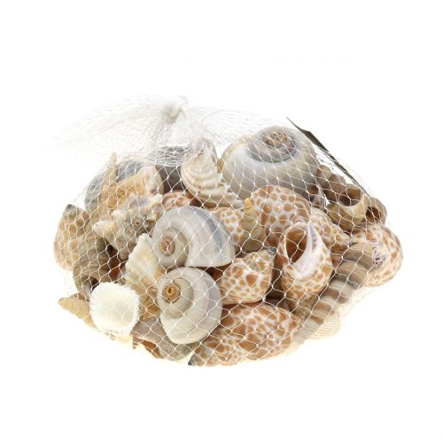 Floristik24 Shell mezcla natural 500g