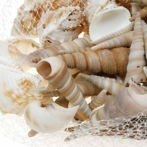 Artículo Mezcla de conchas y caracoles en red natural 400g