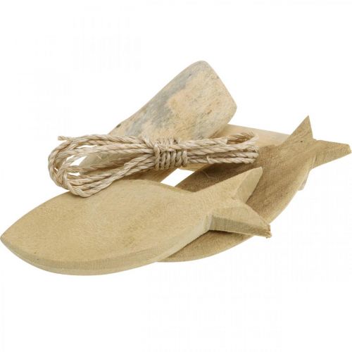 Floristik24 DIY-Box Marítimo Set de decoración de madera conchas naturales surtido
