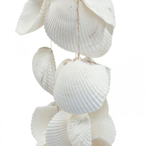 Guirnalda de conchas Guirnalda de conchas decoración marinera L87cm