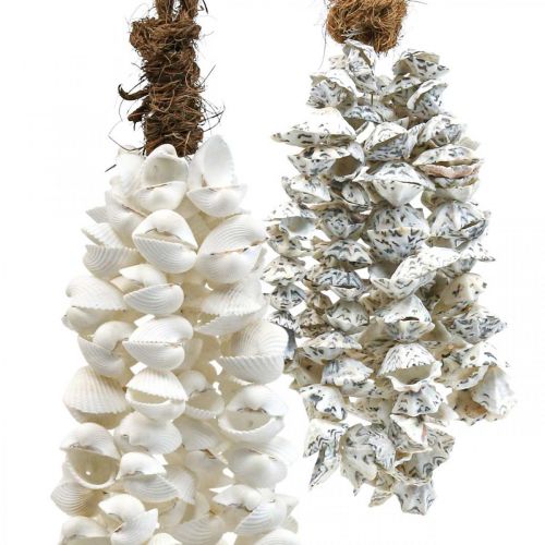 Floristik24 Conchas collar de conchas colgante de conchas deco marítimo 2 piezas