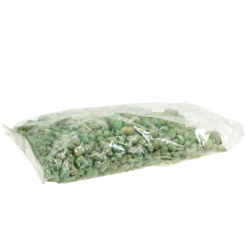 Floristik24 Surtido de caracoles verde 1kg