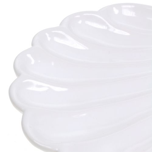Floristik24 Concha Decorativa Concha Blanca 15cm x 16cm 3pcs