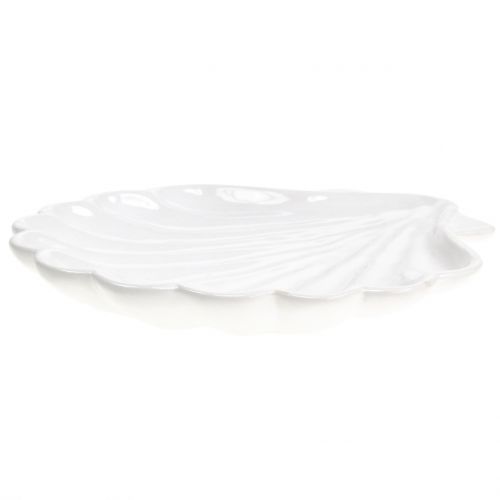 Floristik24 Concha Decorativa Concha Blanca 15cm x 16cm 3pcs