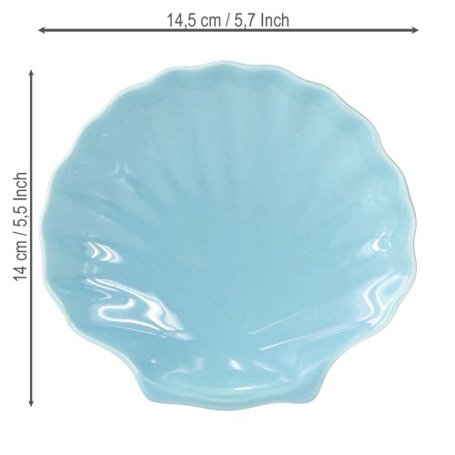 Artículo Plato de concha cuenco marítimo cerámica azul blanco 14cm 3 piezas