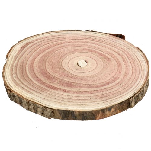 Floristik24 Rodaja de arbol campanilla natural Ø20-24cm 1ud