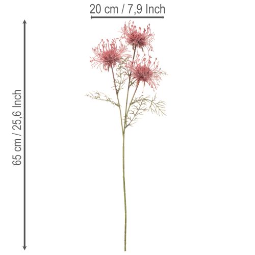 Alfiletero de flores artificiales, rama de protea en flor de 65 cm, 3 unidades | Floristik24.es