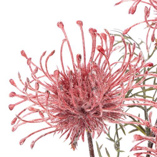 Alfiletero de flores artificiales, rama de protea en flor de 65 cm, 3 unidades | Floristik24.es