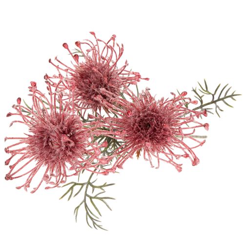 Alfiletero de flores artificiales, rama de protea en flor de 65 cm, 3 unidades | Floristik24.es