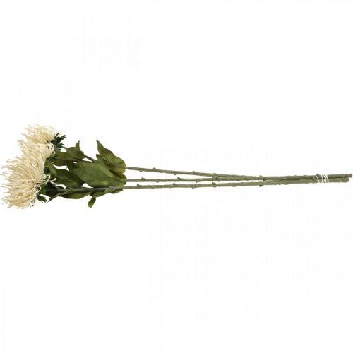 Artículo Alfiletero flores artificiales exóticas Protea Leucospermum crema 73cm 3ud