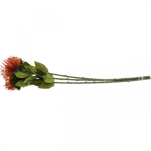 Artículo Acerico Flor Artificial Exótica Naranja Leucospermum Protea 73cm 3pcs