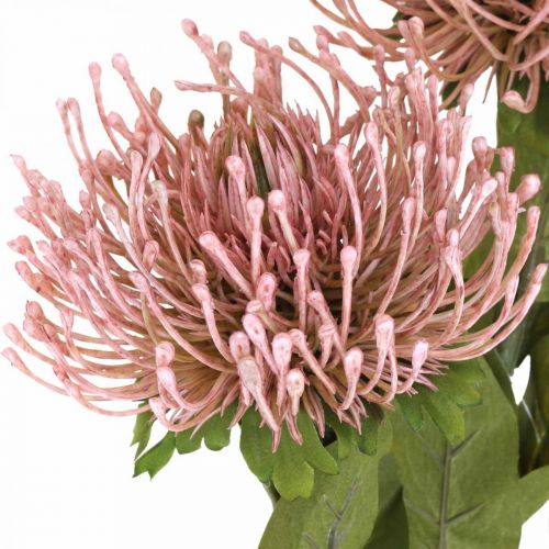 Floristik24 Alfiletero flor de otoño artificial Protea Rosa Leucospermum 73cm 3uds