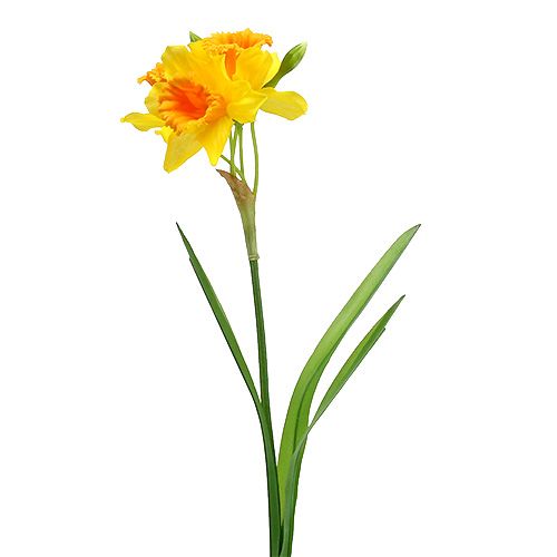 Floristik24 Narciso Amarillo L40cm