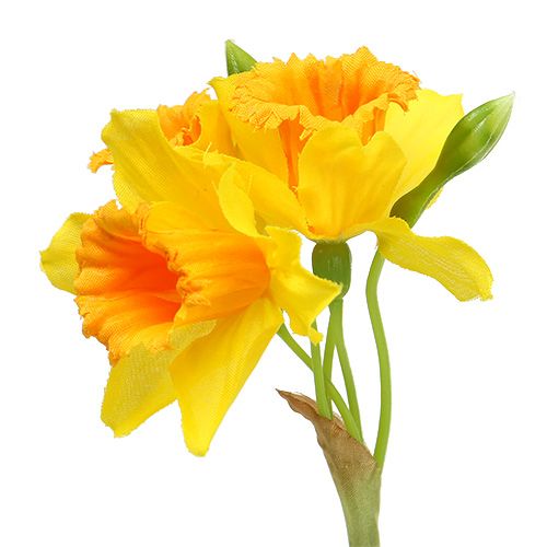 Floristik24 Narciso Amarillo L40cm