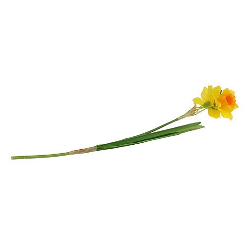 Floristik24 Narciso Amarillo L40cm