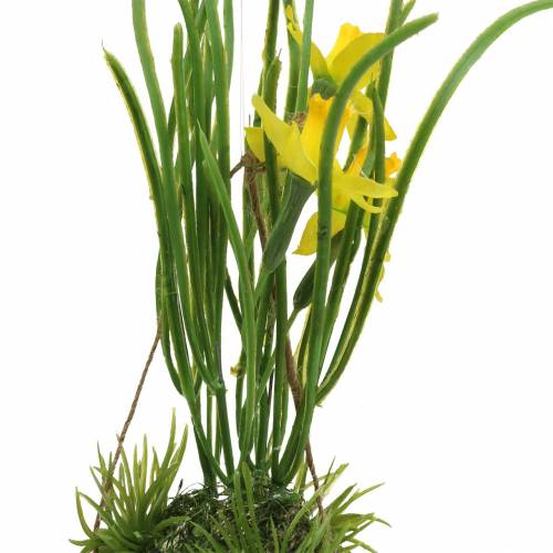 Floristik24 Narciso en cáscara de huevo para colgar Artificial amarillo 25cm