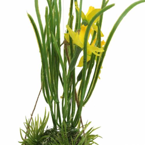 Artículo Narciso en cáscara de huevo para colgar Artificial amarillo 25cm