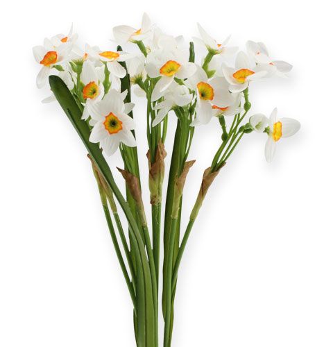 Floristik24 Ramo Narciso en blanco 35cm 3pcs