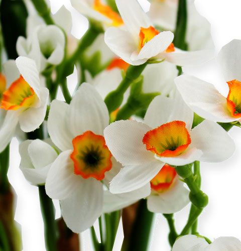 Floristik24 Ramo Narciso en blanco 35cm 3pcs