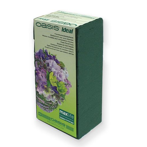 Floristik24 Espuma floral húmeda para ladrillos de arreglos florales de flores frescas