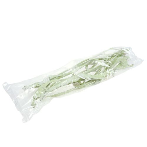 Artículo Natraj Mix verde manzana blanqueado 10uds