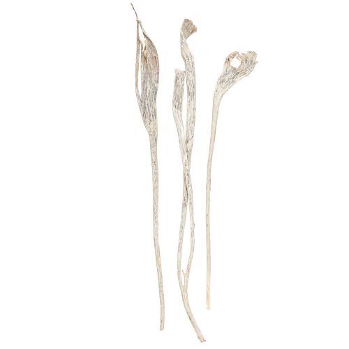 Artículo Natraj Antler Wood Mix Blanco Lavado 10uds
