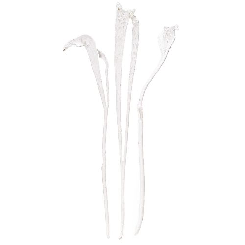 Floristik24 Natraj mezcla madera asta blanqueada 10uds