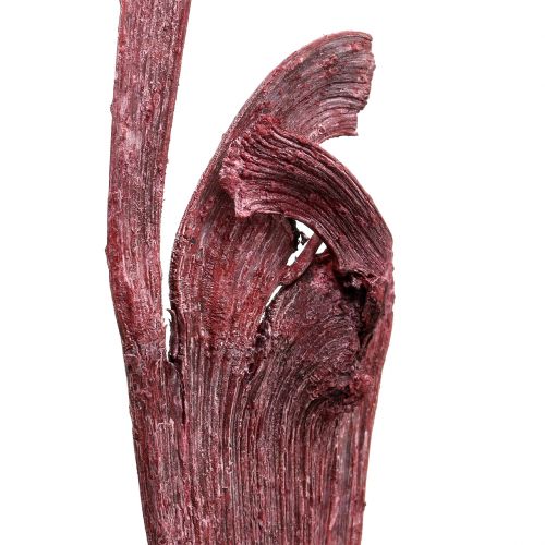 Artículo Natraj mezcla de madera de asta roja, blanqueada 10 piezas