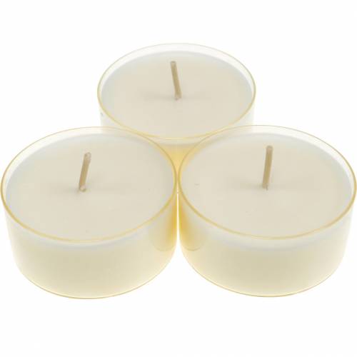 Floristik24 Tealights Pure Nature Lights tiempo de combustión 10 horas velas cera de colza 8 piezas